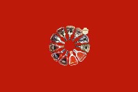 古田县回收红酒